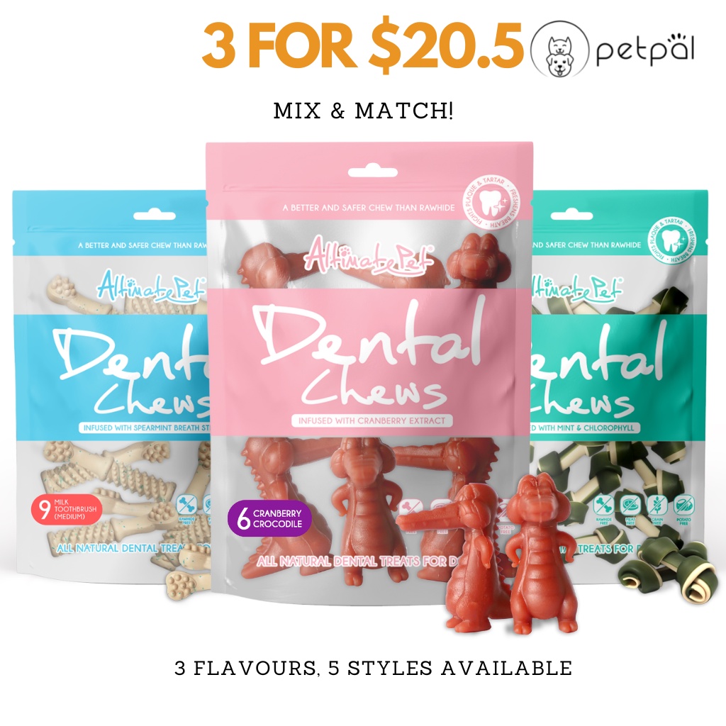 Kang Shi Fu Instant Noodles 5in1 packet  康师傅方便面 5包入量贩装